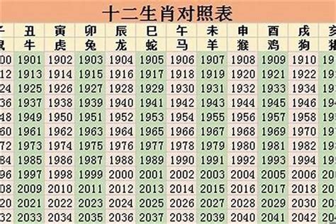 2025年是什么生肖|2025年出生的属什么,2025年是什么生肖